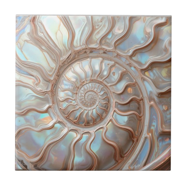  Abalone and Pearl Nautilus Shell Ceramic Tile (Front)