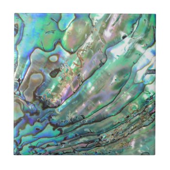 Abalone Ceramic Tile by mitmoo3 at Zazzle