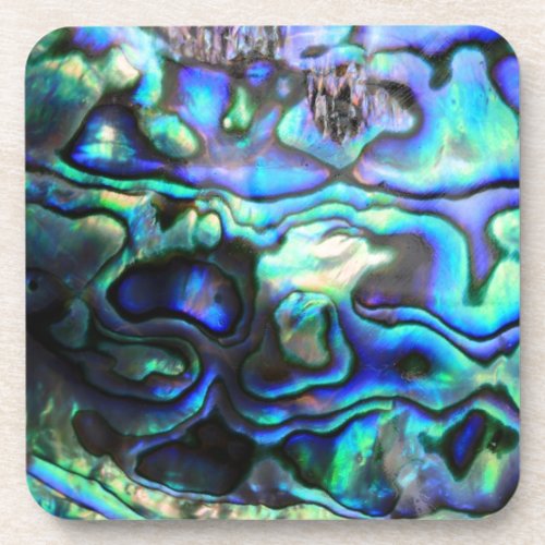 Abalone paua shell beverage coaster