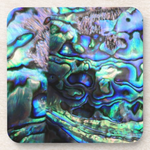 Abalone paua shell detail beverage coaster