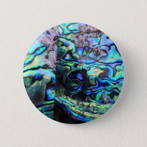 Abalone paua shell detail button