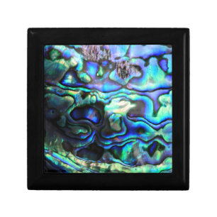 Abalone paua shell gift box