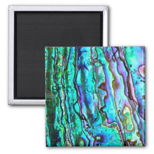 Abalone paua shell image square magnet