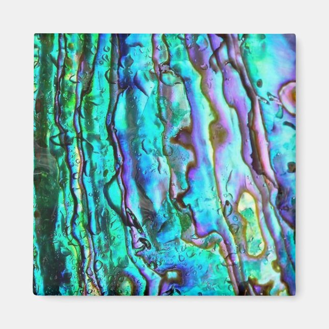 Abalone paua shell image square magnet (Front)