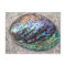 Abalone