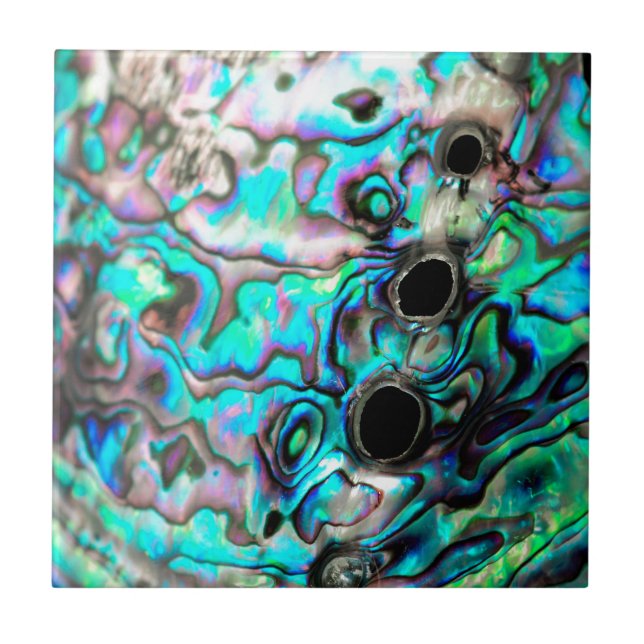 Abalone seashell nature detail tile (Front)