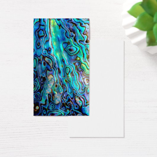 Abalone shell (Desk)