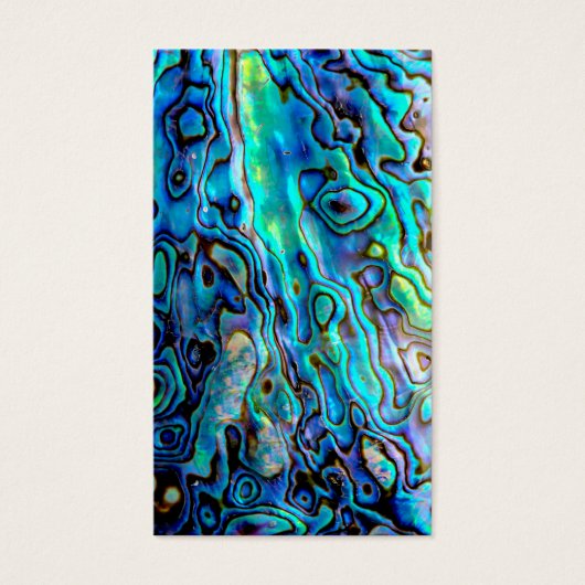 Abalone shell (Front)