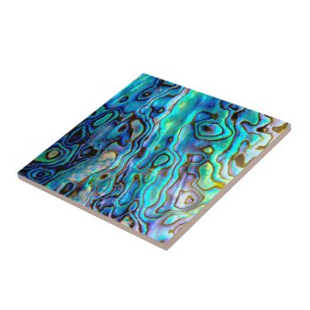 Abalone Shell  Ceramic Tile by parisjetaimee at Zazzle