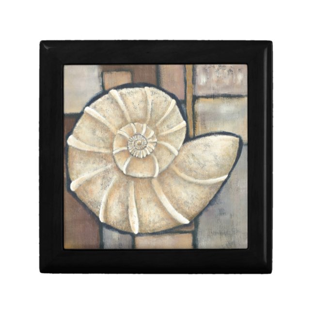 Abalone Shell Jewelry Box (Front)