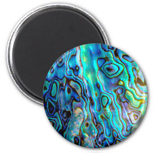 Abalone shell  magnet