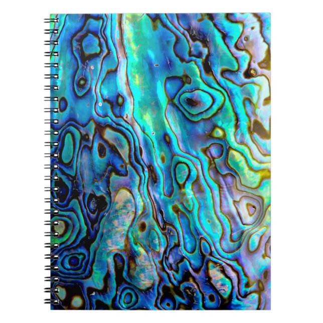 Abalone shell notebook (Front)