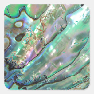 Abalone Square Sticker