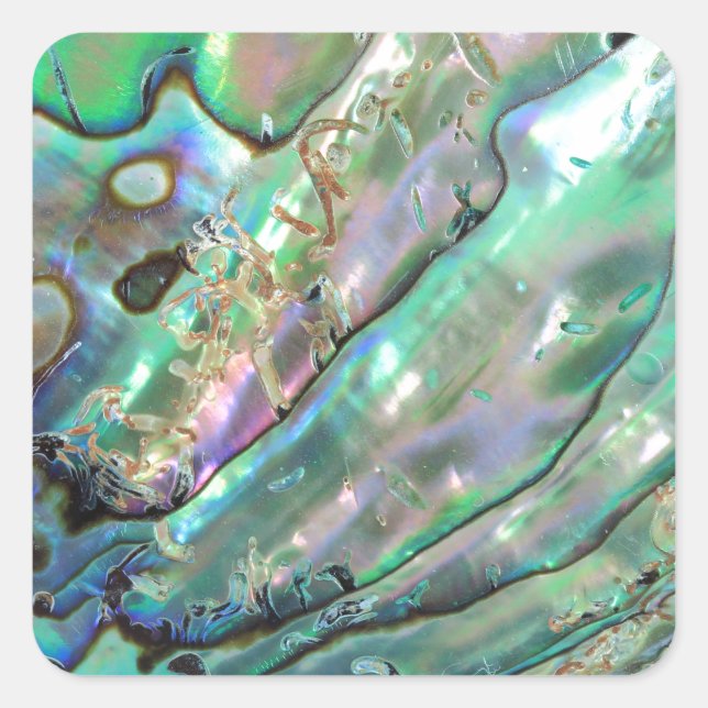 Abalone Square Sticker (Front)