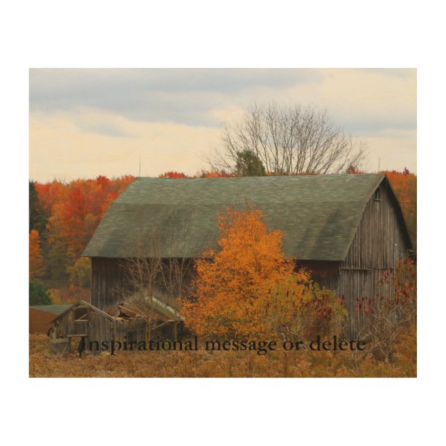 Abandon Old Barn Autumn Farm Scene Rustic Wood Wall Art (Front)