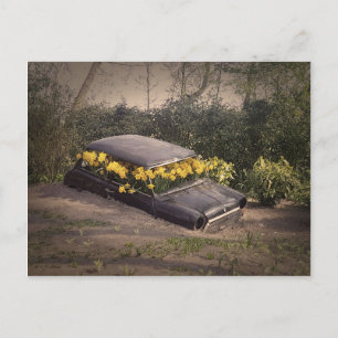 Abandonded Beauty Postcard