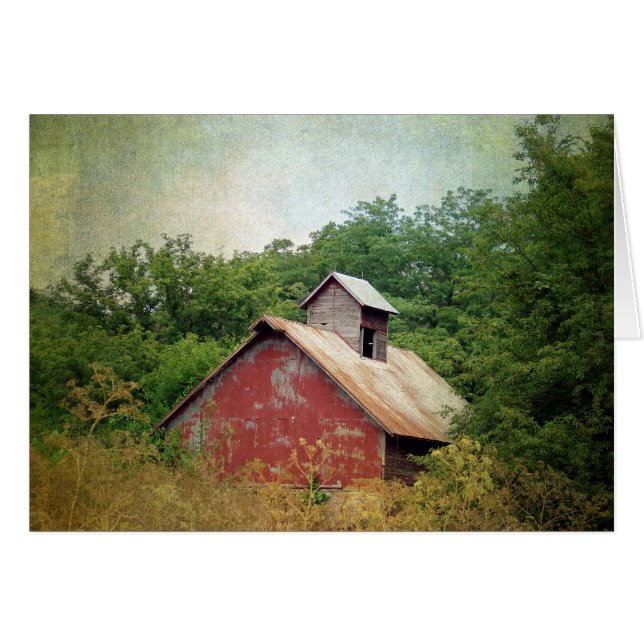 Abandoned and Overgrown Barn All Occasions Cards (Front Horizontal)