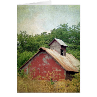 Abandoned and Overgrown Red Barn Cards
