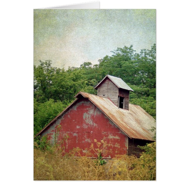 Abandoned and Overgrown Red Barn Cards (Front)