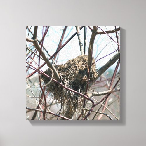 Abandoned Bird Nest In Spring Canvas Print