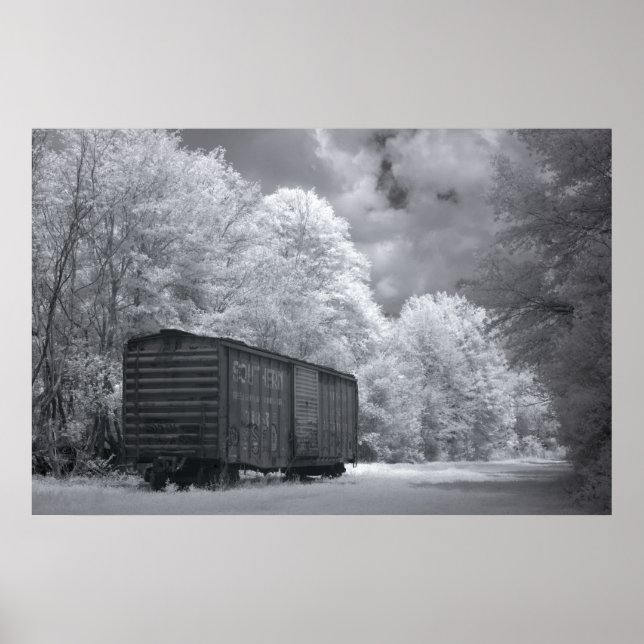 Abandoned Box Car Poster (Front)