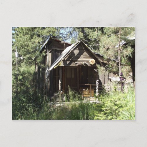 Abandoned Cabin in the Woods Postcard