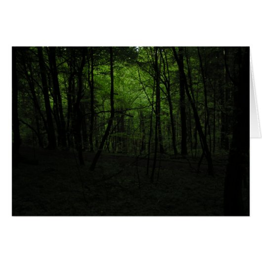 Abandoned dark forest cards (Front Horizontal)