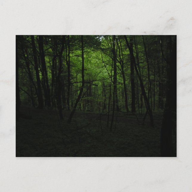 Abandoned dark forest postcard (Front)