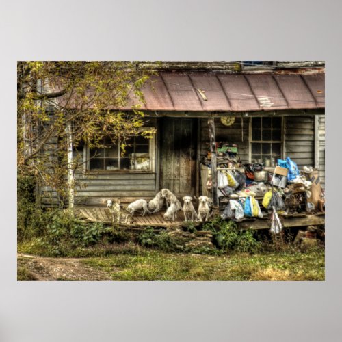 Abandoned Farm House with Dogs _ Color Poster