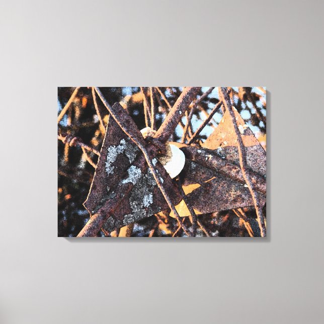 Abandoned Fencing Canvas Print (Front)