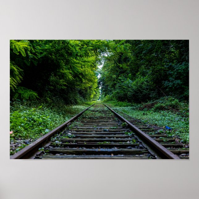 abandoned forest with train tracks poster (Front)