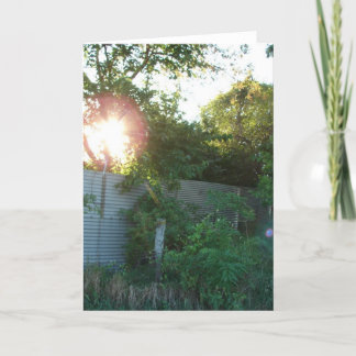 Abandoned Grain Bins Card