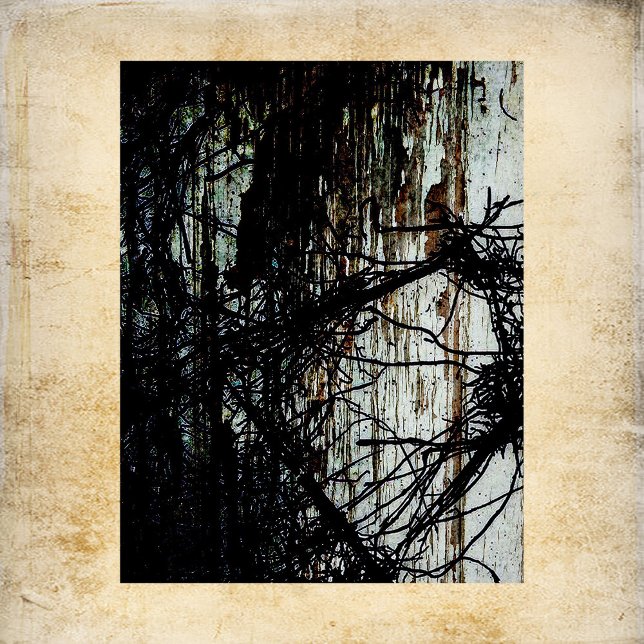 Abandoned Mansion Scrapbook Paper (Creator Uploaded)