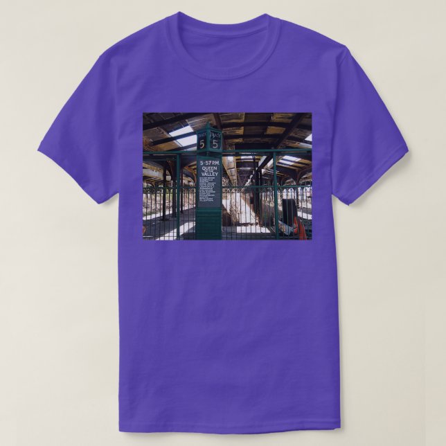 Abandoned New Jersey Central Railroad Terminal She T-Shirt (Design Front)