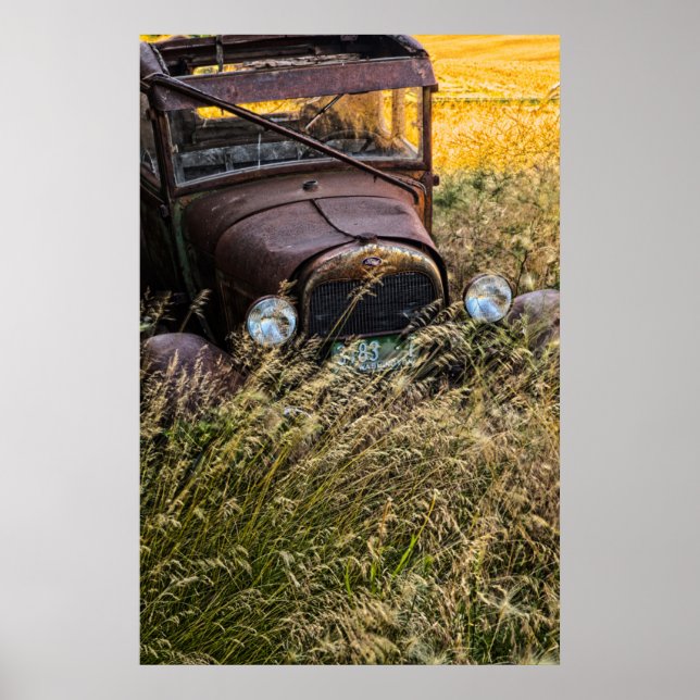 Abandoned old car in tall grass poster (Front)