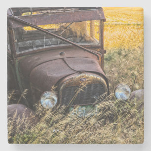 Abandoned old car in tall grass stone coaster