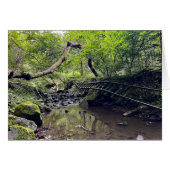 Abandoned Railroad Card (Front Horizontal)