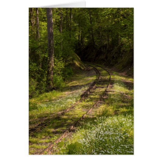 Abandoned Railroad In A Forest Cards (Front)