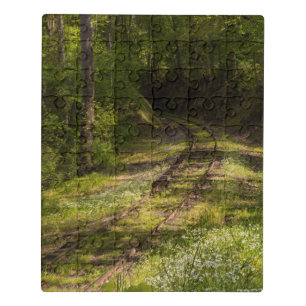 Abandoned Railroad In A Forest Jigsaw Puzzle