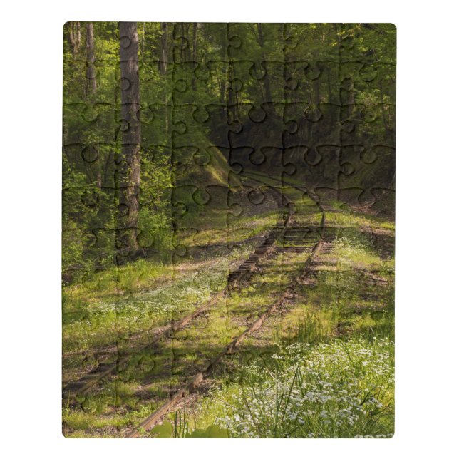 Abandoned Railroad In A Forest Jigsaw Puzzle (Puzzle Vertical)