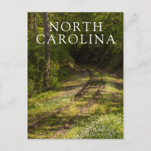 Abandoned Railroad In A Forest Postcard