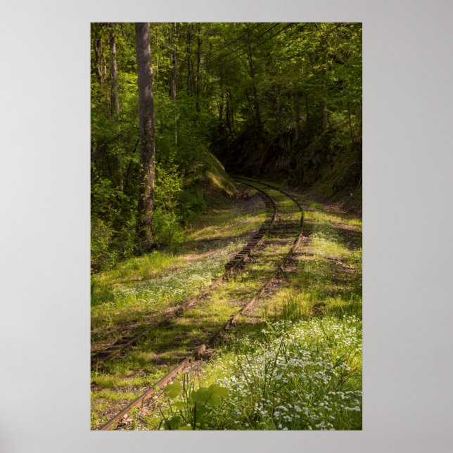 Abandoned Railroad In A Forest Poster (Front)