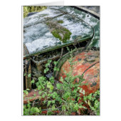 Abandoned Vintage Truck (Front)