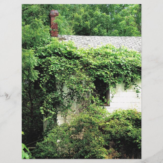 Abandoned White House in the Woods (Front)