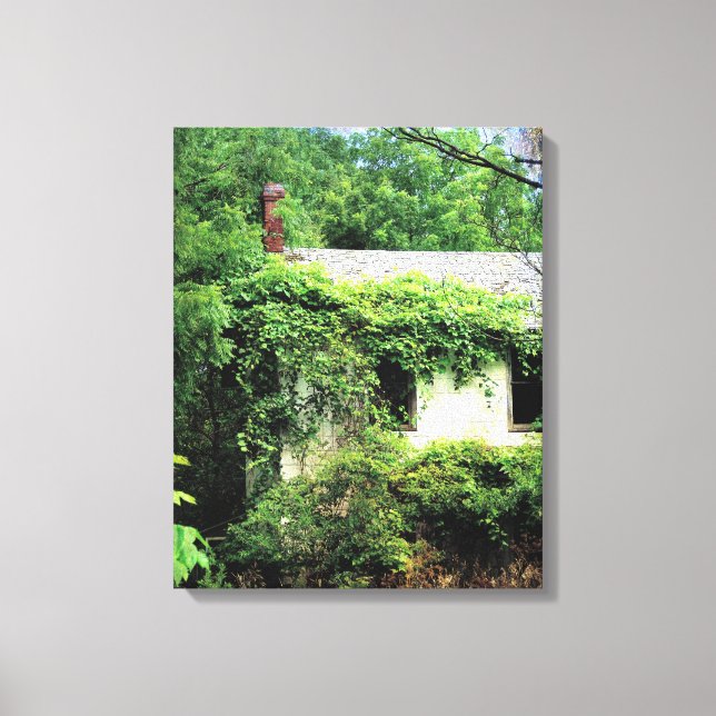Abandoned White House in the Woods Canvas Print (Front)