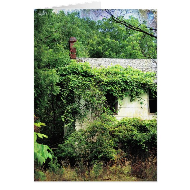 Abandoned White House in the Woods Cards (Front)