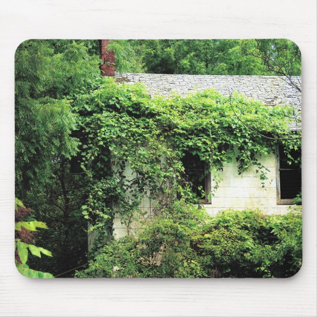 Abandoned White House in the Woods Mouse Pad (Front)