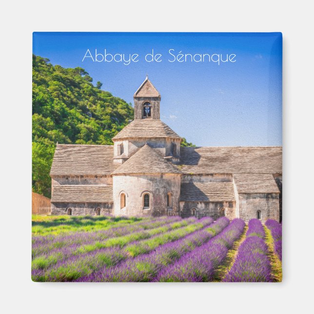 Abbaye de Sénanque in Provence Magnet (Front)