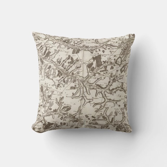 Abbeville Throw Pillow (Front)