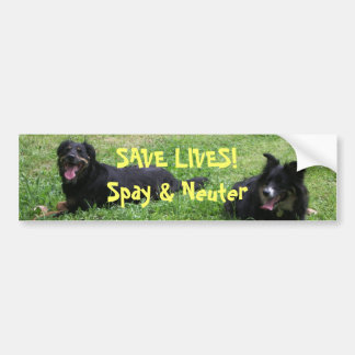 Abbey and Roxy say: SAVE LIVES! Spay & Neuter Bumper Sticker